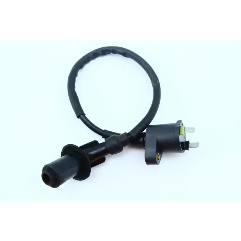 Bobine allumage JM MOTORS DI LUCIO 50 2017 - 2018