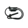 Bobine allumage YAMAHA FJR 1300 2006-2007 ABS