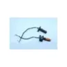 Clignotants arriere KAWASAKI ZX7R 750 NINJA 1996 - 2002