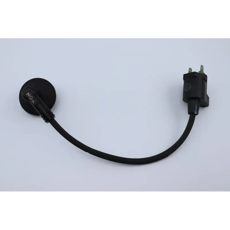 Bobine allumage PEUGEOT VIVACITY 50 1998 - 2007