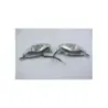 Clignotants avant JM MOTORS SANTANA 50 2022 - 2023 Clignotants avant JM MOTORS SANTANA 50 2022 - 2023