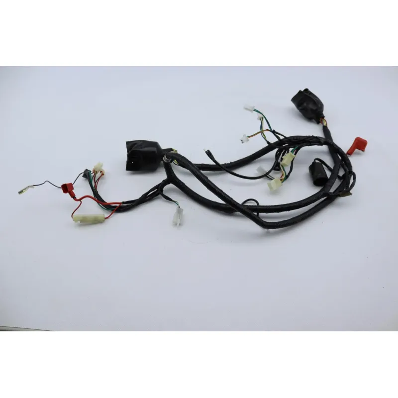 Faisceau electrique EUROCKA GTR 50 2011 - 2014