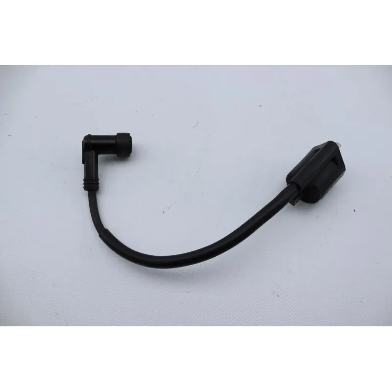 Bobine allumage YAMAHA SLIDER 50 EW 2000 - 2002
