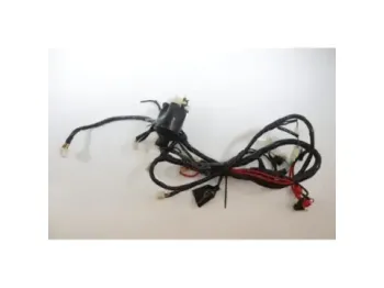 Faisceau electrique JM MOTORS RITMO 50 2019 - 2020