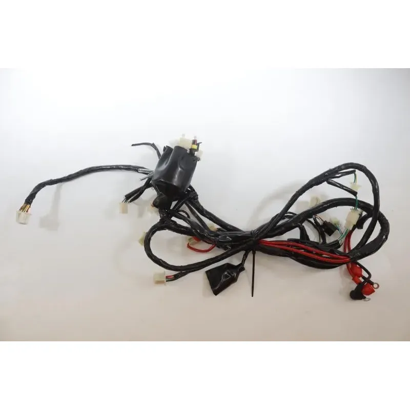 Faisceau electrique JM MOTORS RITMO 50 2019 - 2020
