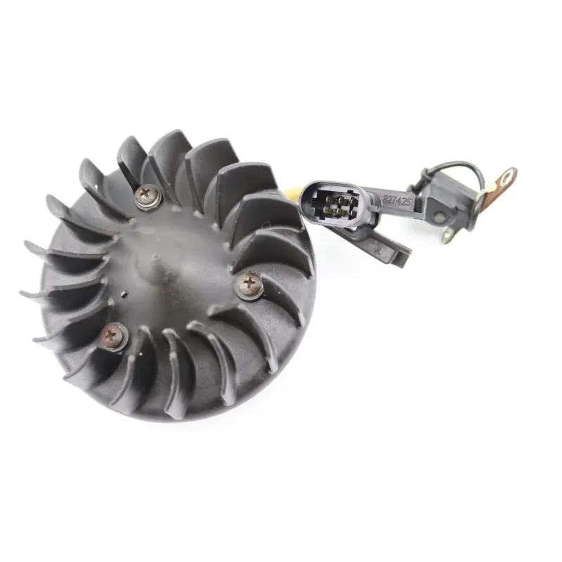 Rotor volant moteur PIAGGIO ZIP 50 2008 - 2012