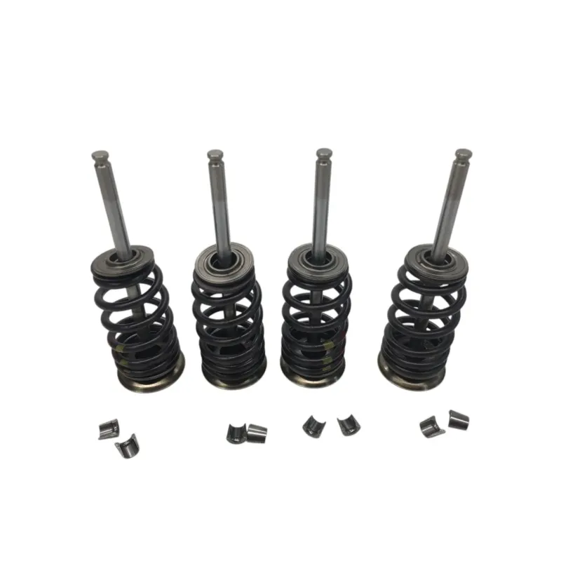 Soupapes BMW F 900 R 2020-2024