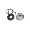 Stator alternateur YAMAHA FJR 1300 2013-2020