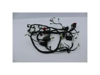 Faisceau electrique HONDA FES 125 PANTHEON 2005 - 2006