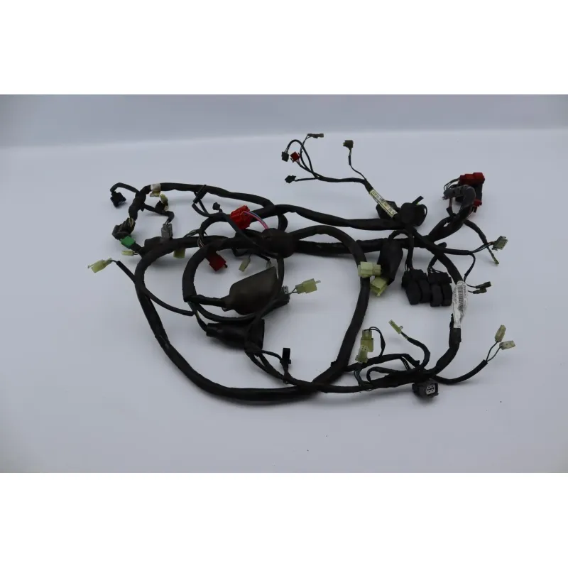 Faisceau electrique HONDA FES 125 PANTHEON 2005 - 2006