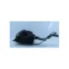 Reservoir SUZUKI UH 650 BURGMAN 2006 - 2010 Reservoir SUZUKI UH 650 BURGMAN 2006 - 2010