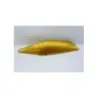 Coque arriere gauche HONDA CBF 1000 2006 - 2012