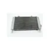 Radiateur eau APRILIA ATLANTIC 300 2010 - 2012
