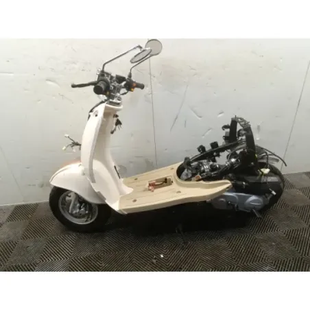 ECCHO GOLD 50