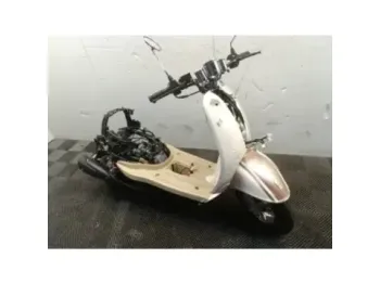 ECCHO GOLD 50