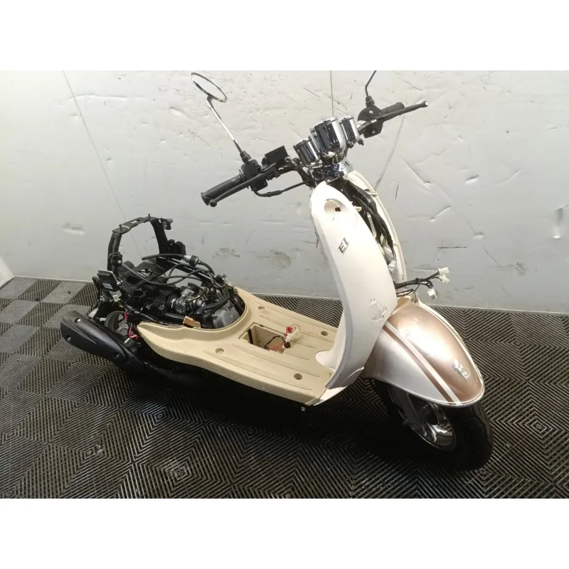 ECCHO GOLD 50