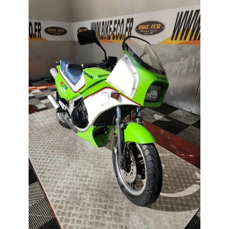 KAWASAKI KR 250