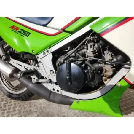 KAWASAKI KR 250