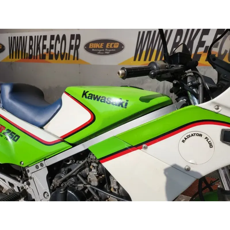 KAWASAKI KR 250