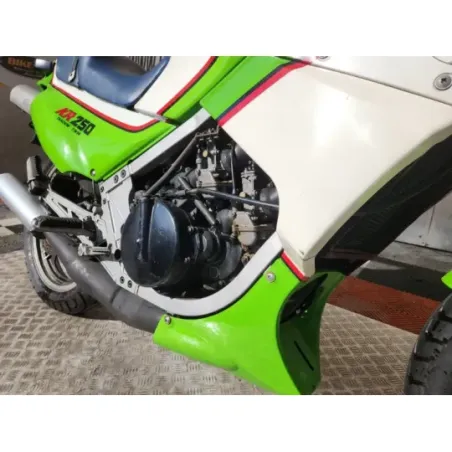KAWASAKI KR 250