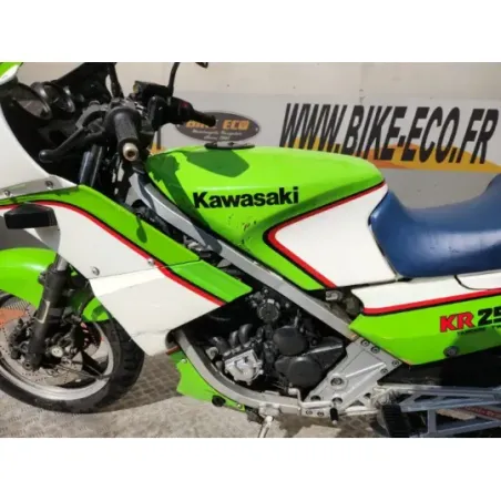 KAWASAKI KR 250