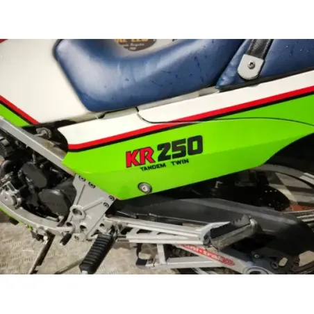 KAWASAKI KR 250