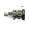 Boite de vitesses SUZUKI RE-5 500 1974-1976 ROTARY Boite de vitesses SUZUKI RE-5 500 1974-1976 ROTARY