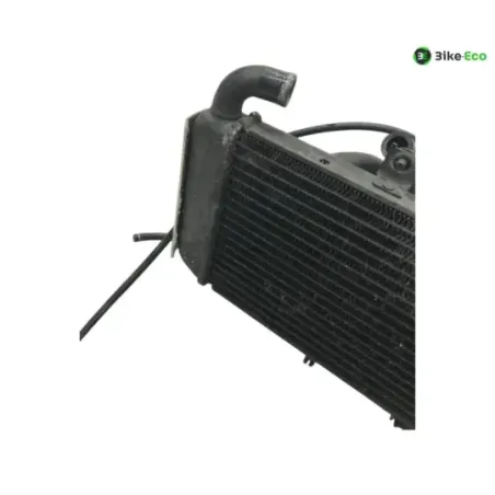 Radiateur eau YAMAHA FZS 600 1998-2001 FAZER