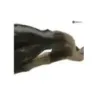 Collecteur (echappement) YAMAHA FZS 600 1998-2001 FAZER