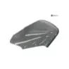 Bulle YAMAHA FZ1 1000 2006-2010 FAZER
