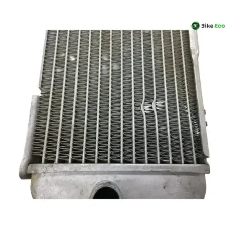 Radiateur eau KAWASAKI KXF 250 2020