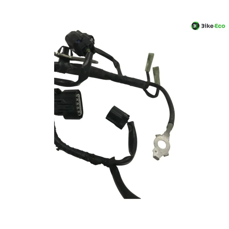 Faisceau electrique HONDA NSS 125 2021-2022 FORZA