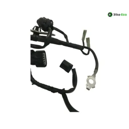 Faisceau electrique HONDA NSS 125 2021-2022 FORZA