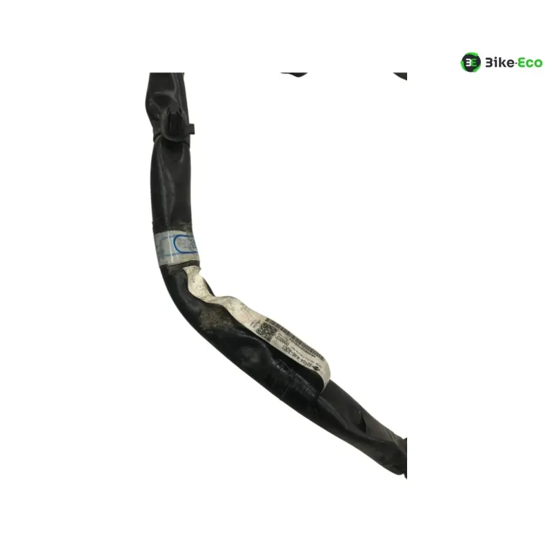 Faisceau electrique HONDA NSS 125 2021-2022 FORZA