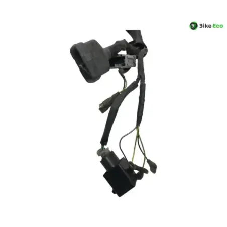 Faisceau electrique HONDA SH 300 2007-2010