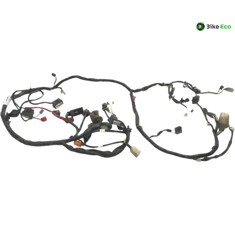 Faisceau electrique HONDA SH 300 2007-2010