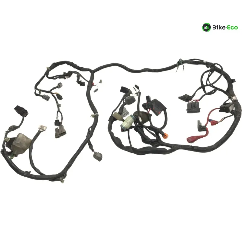 Faisceau electrique HONDA SH 300 2007-2010