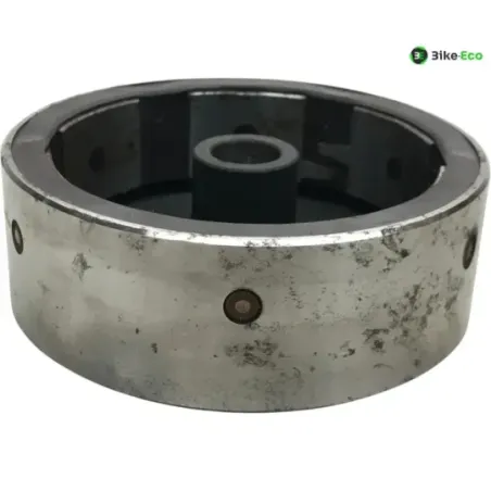 Rotor volant moteur GASGAS JT25 250 1994-1995