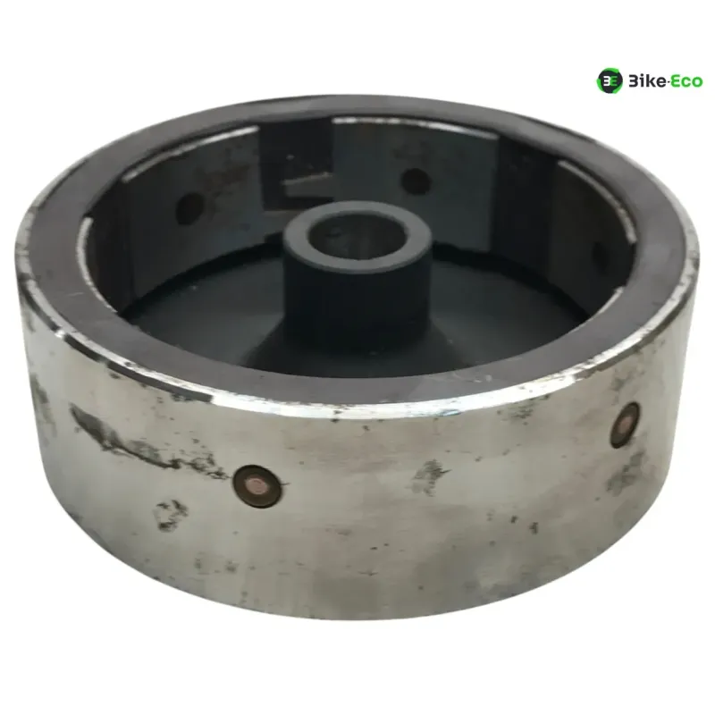 Rotor volant moteur GASGAS JT25 250 1994-1995
