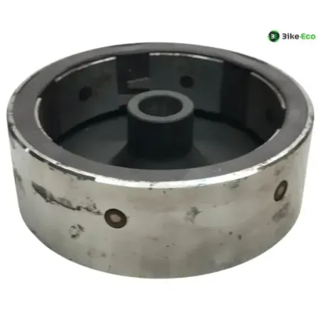 Rotor volant moteur GASGAS JT25 250 1994-1995