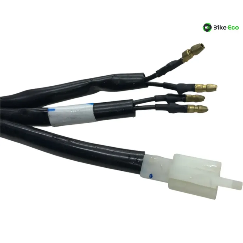 Support de plaque et eclairage YAMAHA MWD 300 TRICITY 2020-2024