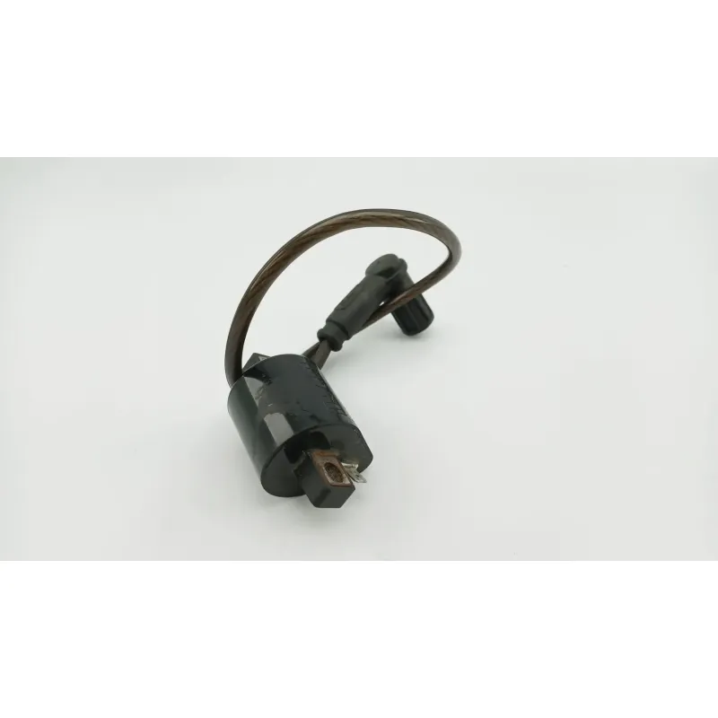 Bobine allumage ADLY ROCKY 50 2005 - 2007