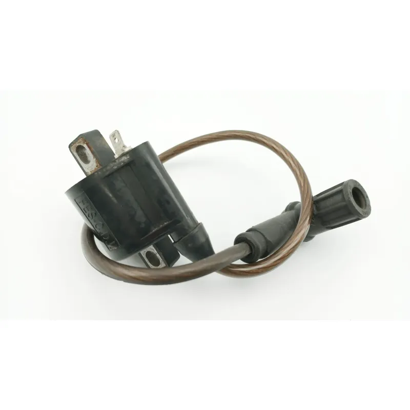 Bobine allumage ADLY ROCKY 50 2005 - 2007