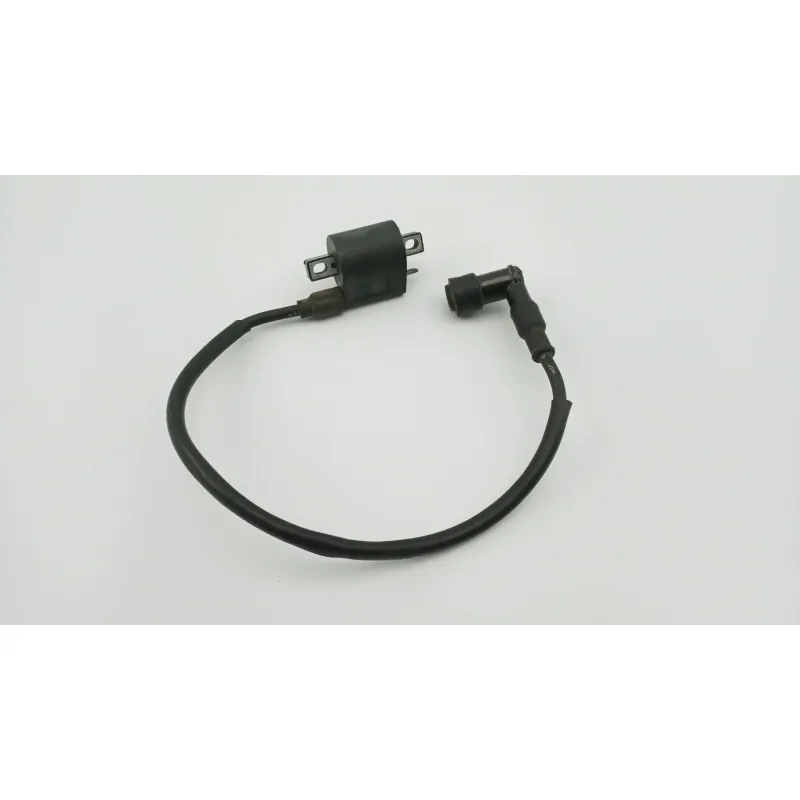 Bobine allumage RIDE SARRIO 125 2006 - 2015