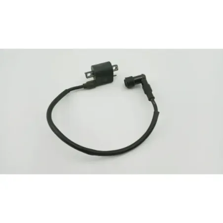 Bobine allumage RIDE SARRIO 125 2006 - 2015