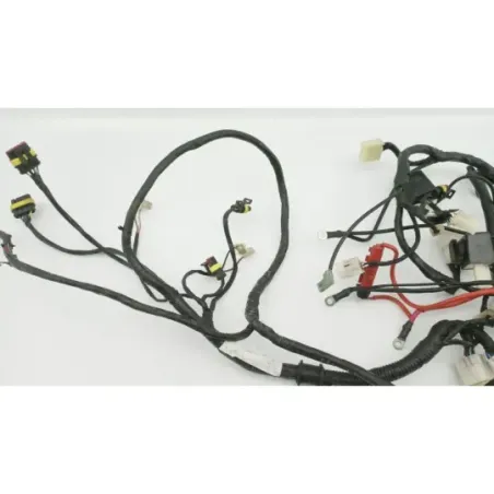 Faisceau electrique RIDE SARRIO 125 2006 - 2015