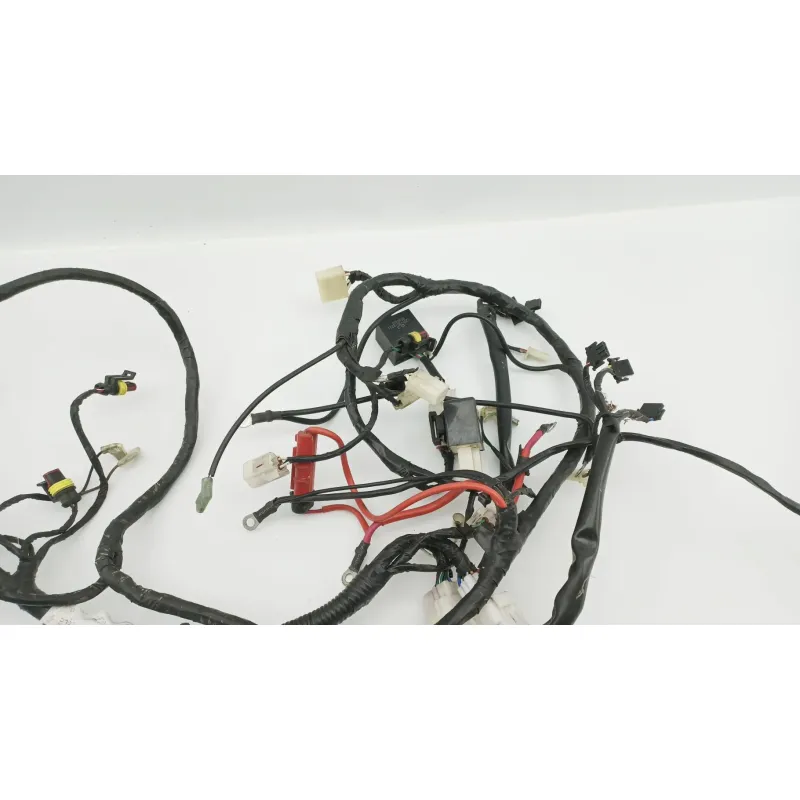 Faisceau electrique RIDE SARRIO 125 2006 - 2015