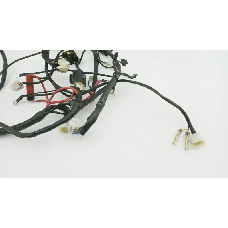 Faisceau electrique RIDE SARRIO 125 2006 - 2015