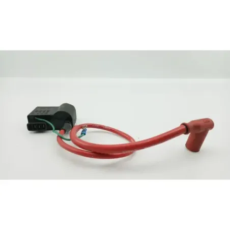 Boitier cdi DERBI SENDA DRD 50 RACING SM 2006 - 2010