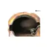 Reservoir HONDA CX 500 1978-1982 Reservoir HONDA CX 500 1978-1982
